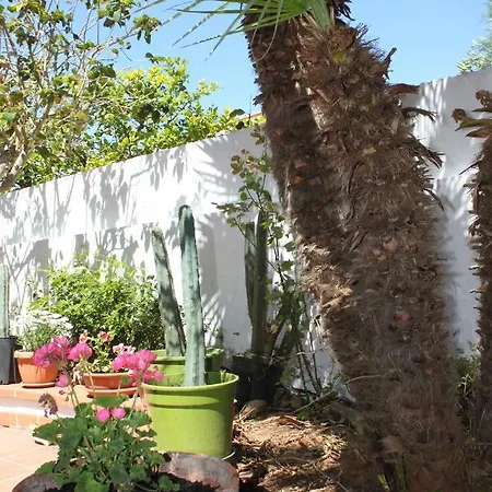 Apartment Loft Con Giardino *